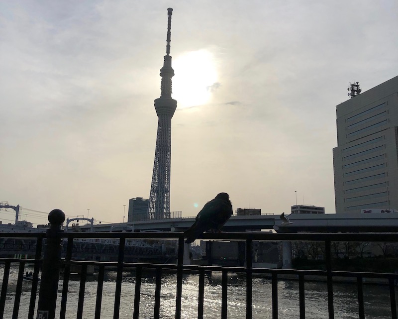 川が繋ぐ